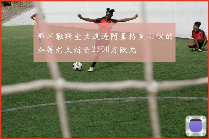 那不勒斯全力追逐阿莱格里心仪的加蒂尤文标价2500万欧元